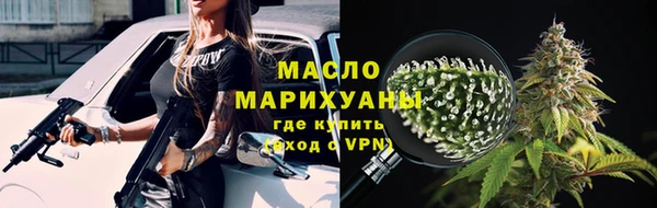 хмурый Аркадак