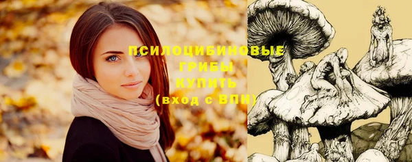 кокаин Алексин