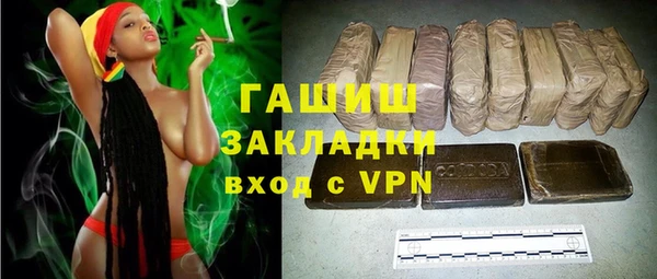 хмурый Аркадак