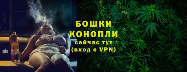 хмурый Аркадак